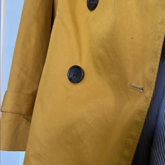 Banana Republic Golden Trench Coat - Picture 3 of 8